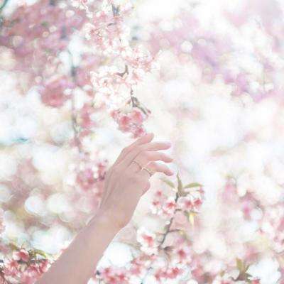 大发dafa888手机app下载